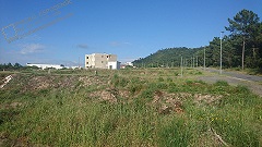 Lotes p/construção em Darque - Viana Castelo (2635)
